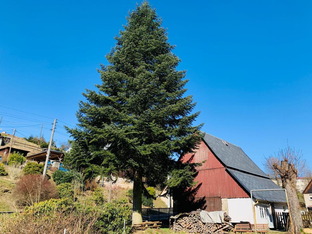 Naturhof Kluge Saupsdorf Exterior foto
