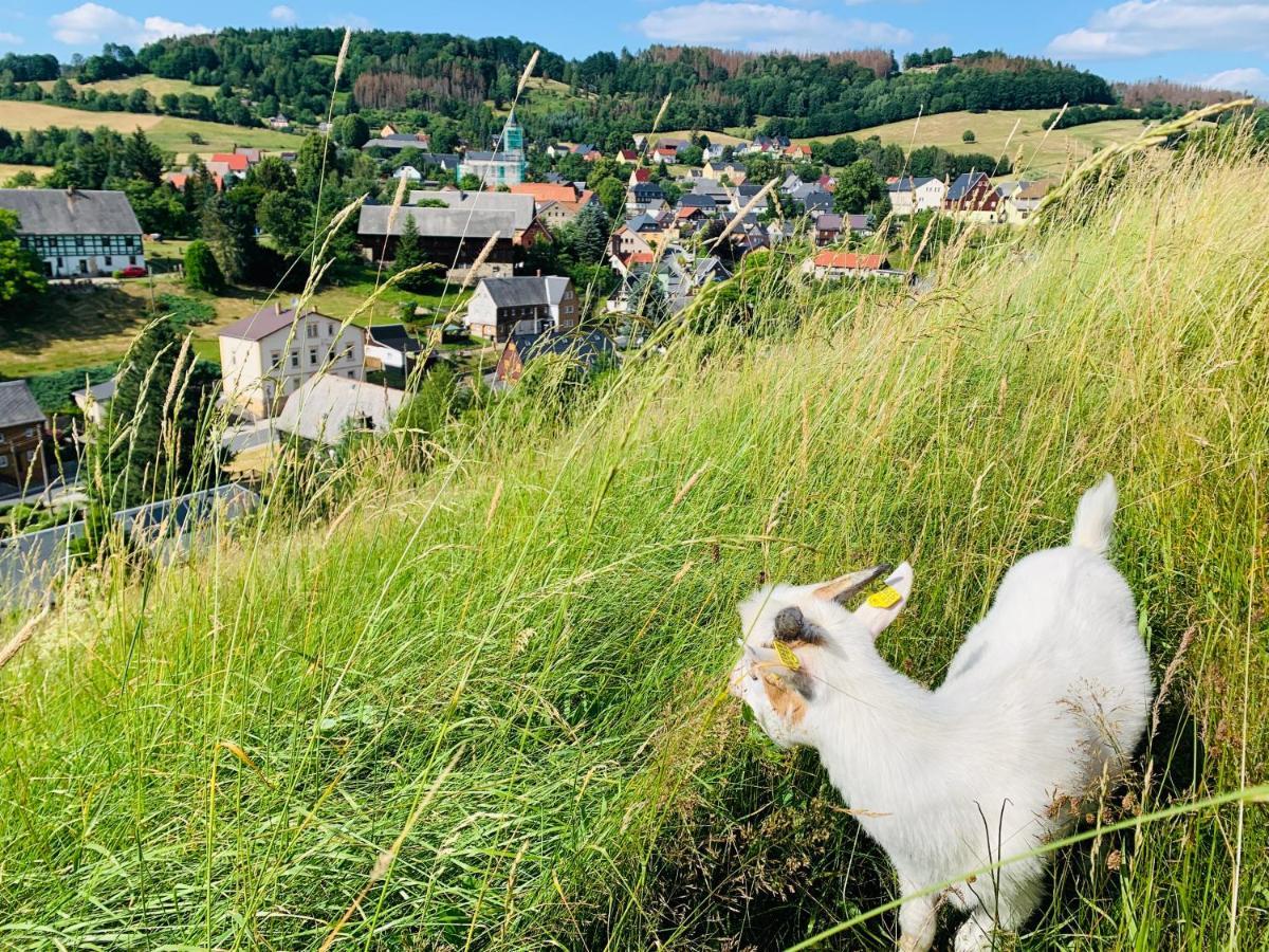 Naturhof Kluge Saupsdorf Exterior foto